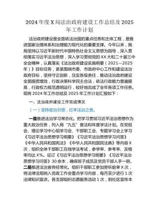2024年度X局法治政府建设工作总结及2025年工作计划