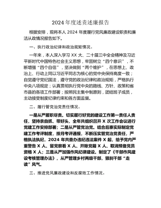 2024年度述责述廉报告（2）