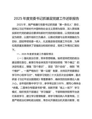 2025年度党委书记抓基层党建工作述职报告