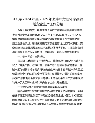XX局2024年至2025年上半年危险化学品领域安全生产工作总结