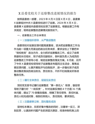 X县委党校关于巡察整改进展情况的报告（2）