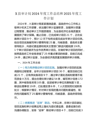 X县审计局2024年度工作总结和2025年度工作计划