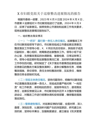 X市妇联党组关于巡察整改进展情况的报告