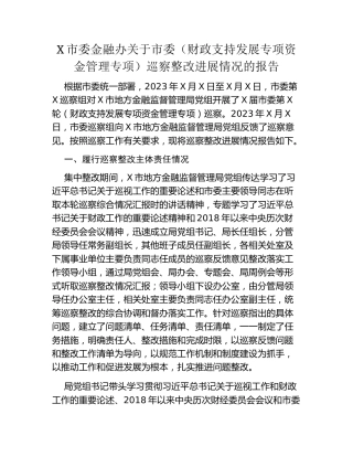 X市委金融办关于市委（财政支持发展专项资金管理专项）巡察整改进展情况的报告