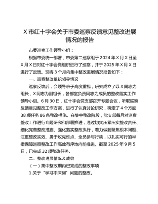 X市红十字会关于市委巡察反馈意见整改进展情况的报告