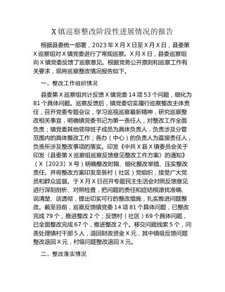 X镇巡察整改阶段性进展情况的报告
