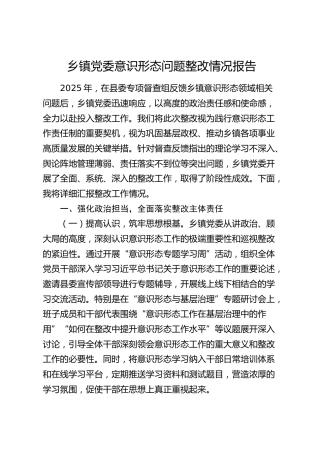 乡镇党委意识形态问题整改情况总结报告