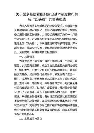 乡镇基层党组织建设基本制度执行情况“回头看”督查报告（党建问题整改）
