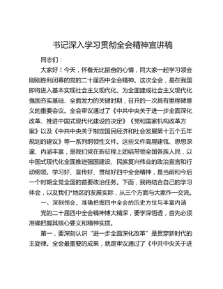 书记深入学习贯彻四中全会精神宣讲稿