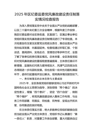 区纪委监委党风廉政建设责任制落实情况检查报告