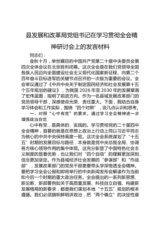 县发展和改革局党组书记在学习贯彻党的二十届四中全会精神研讨会上的发言材料