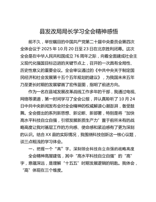县发改局局长学习四中全会精神感悟
