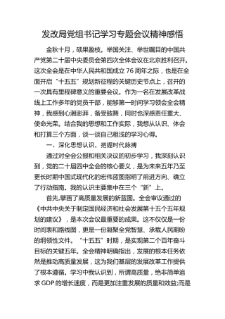 发改局党组书记学习四中全会精神专题会议精神感悟