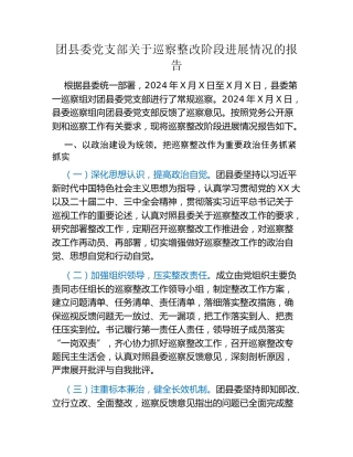 团县委党支部关于巡察整改阶段进展情况的报告