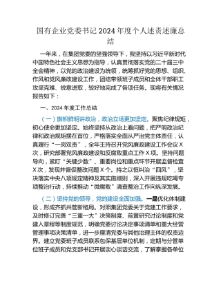 国有企业党委书记2024年度个人述责述廉总结