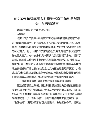 在2025年巡察组入驻街道巡察工作动员部署会上的表态发言