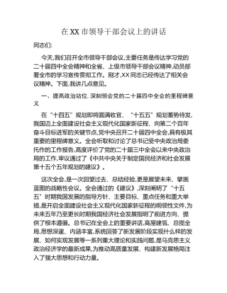 在XX市领导干部会议上的讲话