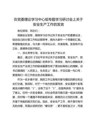 在党委理论学习中心组专题学习研讨会上关于安全生产工作的发言
