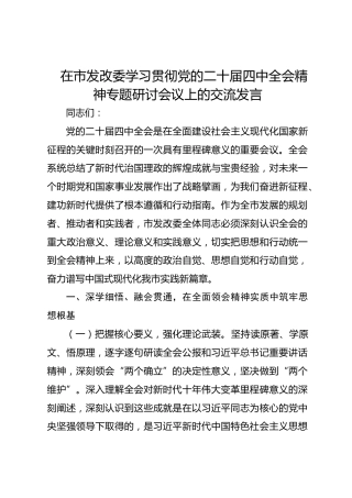 在市发改委学习贯彻党的二十届四中全会精神专题研讨会议上的交流发言