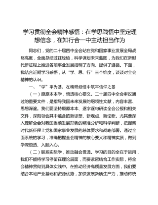 学习贯彻四中全会精神感悟：在学思践悟中坚定理想信念，在知行合一中主动担当作为