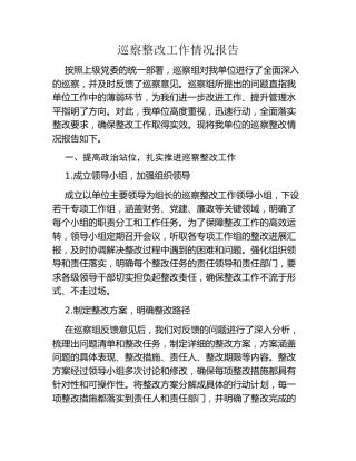 巡察整改工作情况报告