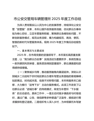 市公安交管局车辆管理所2025年度工作总结