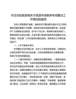 市文化和旅游局关于旅游市场秩序专项整治工作情况的报告
