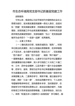 市生态环境局党支部书记抓基层党建工作述职报告