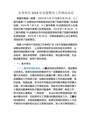 市直单位2024年巡察整改工作情况总结