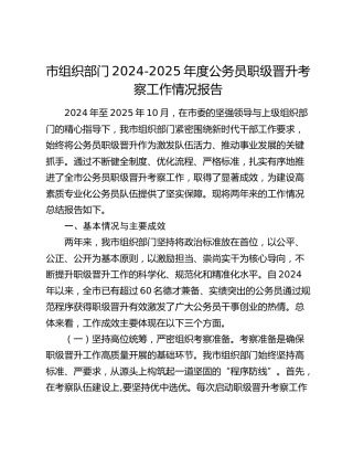 市组织部门2024-2025年度公务员职级晋升考察工作情况报告