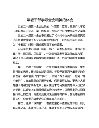 年轻干部学习四中全会精神的体会