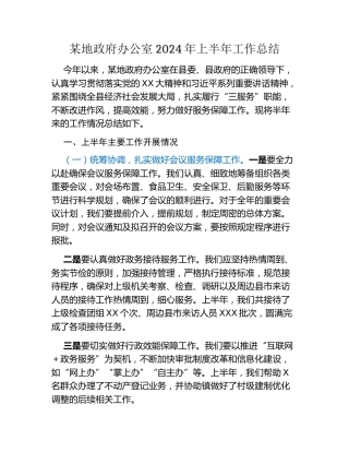 某地政府办公室2024年上半年工作总结