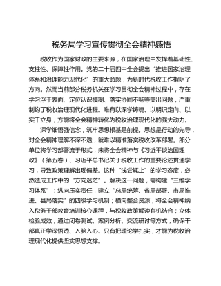 税务局学习宣传贯彻四中全会精神感悟