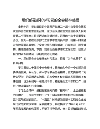 组织部副部长学习党的四中全会精神感悟
