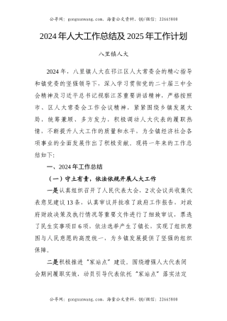 2024年镇人大工作总结及2025年工作计划