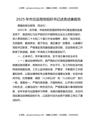 2025年市交运局党组织书记述责述廉报告
