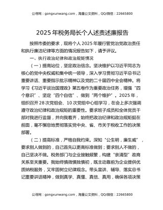 2025年税务局长个人述责述廉报告