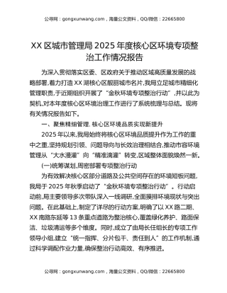 XX区城市管理局2025年度核心区环境专项整治工作情况报告