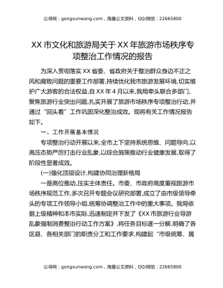 XX市文化和旅游局关于XX年旅游市场秩序专项整治工作情况的报告