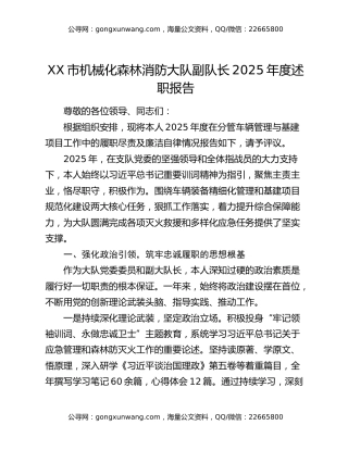 XX市机械化森林消防大队副队长2025年度述职报告