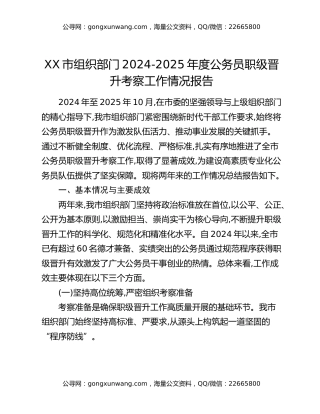 XX市组织部门2024-2025年度公务员职级晋升考察工作情况报告