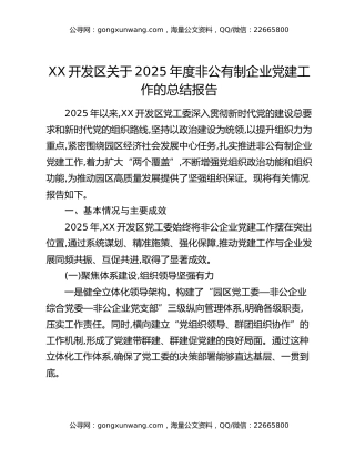 XX开发区关于2025年度非公有制企业党建工作的总结报告