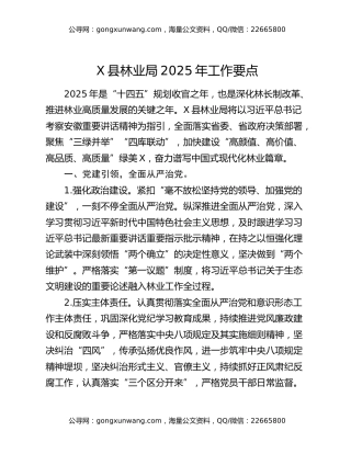 X县林业局2025年工作要点