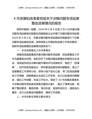X市发展和改革委党组关于涉粮问题专项巡察整改进展情况的报告