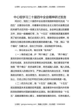 中心组学习二十届四中全会精神研讨发言