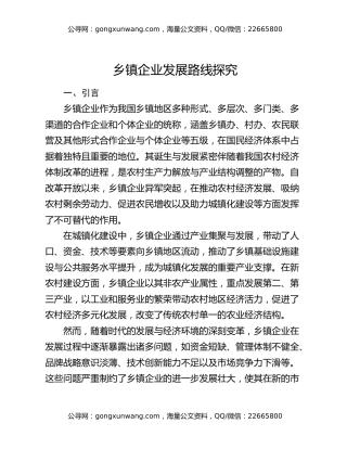 乡镇企业发展路线探究