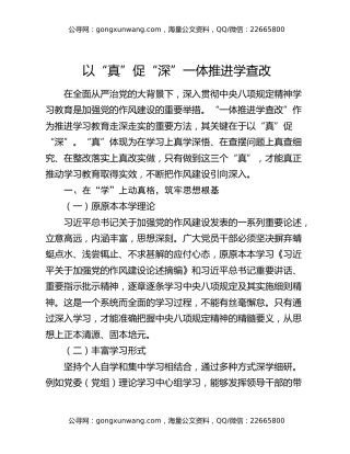 以“真”促“深”一体推进学查改