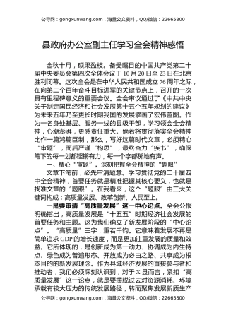 县政府办公室副主任学习党的二十届四中全会精神感悟