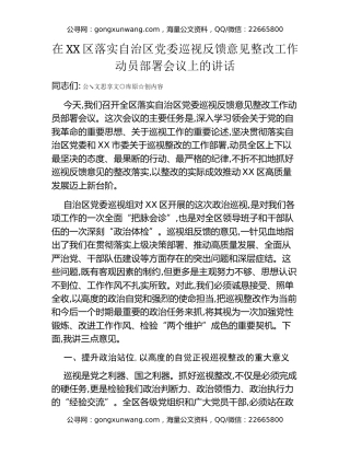 在XX区落实自治区党委巡视反馈意见整改工作动员部署会议上的讲话 (1)