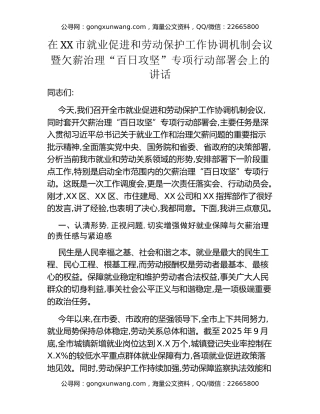 在XX市就业促进和劳动保护工作协调机制会议暨欠薪治理“百日攻坚”专项行动部署会上的讲话